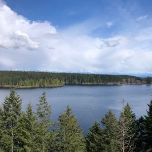 Meet your Posher, Kelti